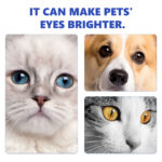 Pet Eye Care Drops - Pet Eye Care Products - beian.jxzhizao.com