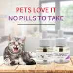 Fabricante de productos calmantes para gatos | Marca blanca OEM para el bienestar de las mascotas</trp-post-c...